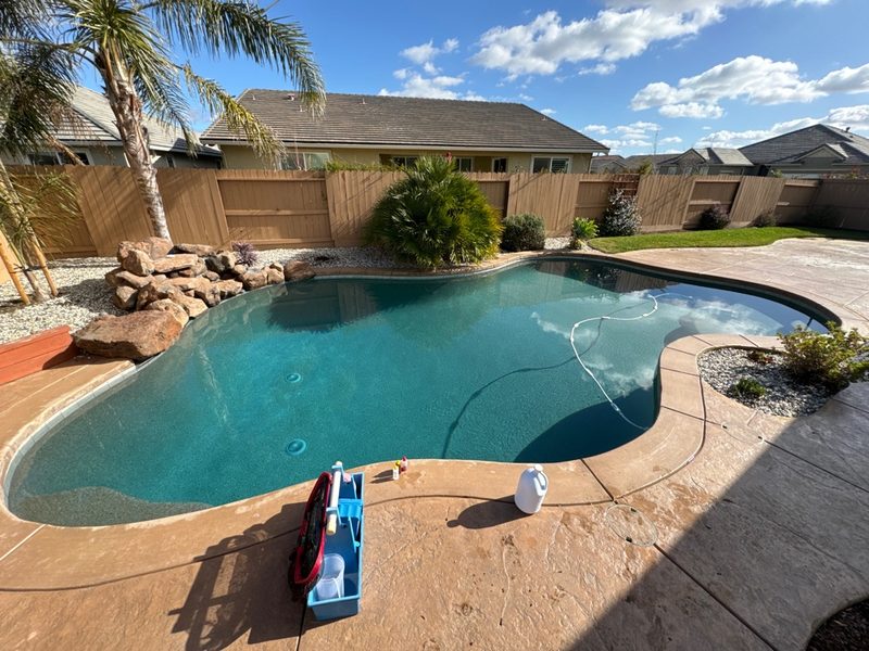 Freeform swimming pool with rock waterfall and palm trees in Roseville CA